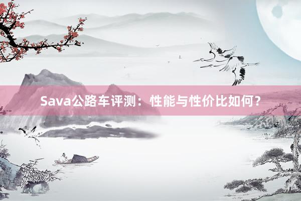 Sava公路车评测：性能与性价比如何？